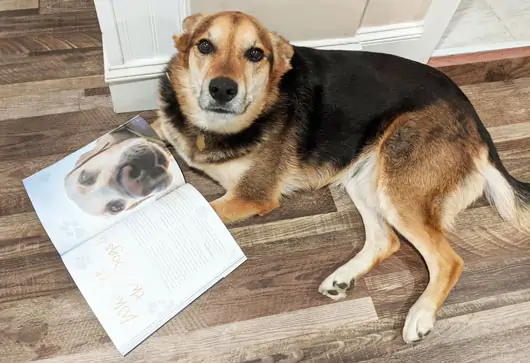 Yoda the dog, the mascot of Littler Books