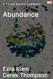 Littler Books cover of Abundance Summary